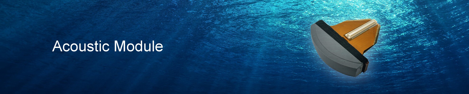 Acoustic Module